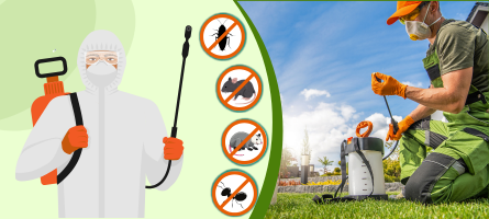 Emergency Pest Control Northcote